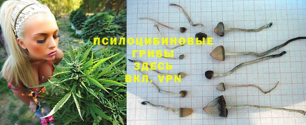 соль ск Алексеевка