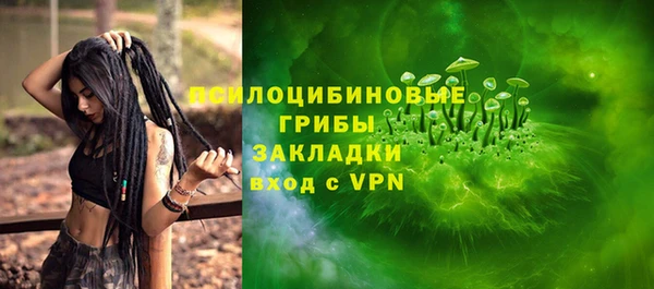 соль ск Алексеевка