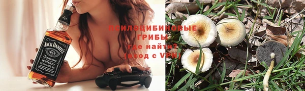 соль ск Алексеевка