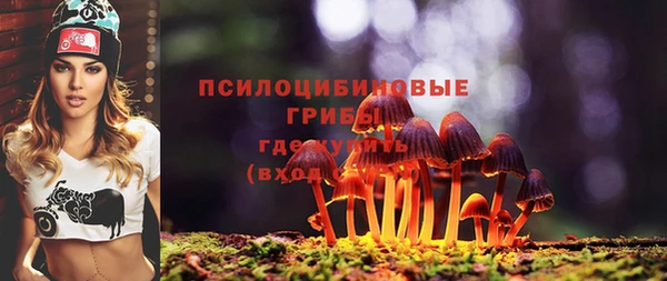 a pvp Козловка